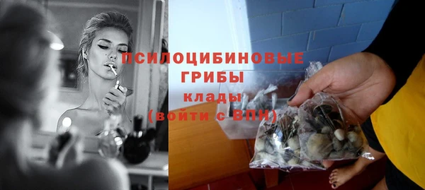 шишки Навашино