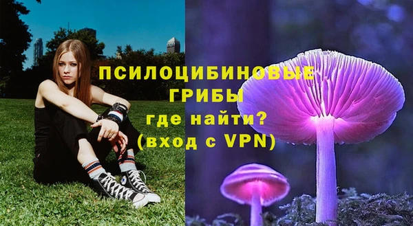 шишки Навашино