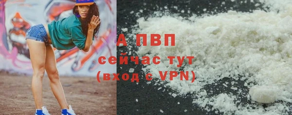 Альфа ПВП Надым