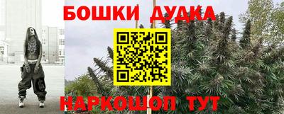 прущие грибы Балаково