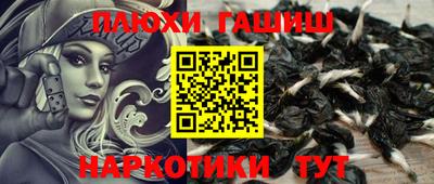 прущие грибы Балаково