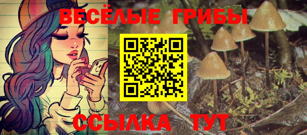 Геленджик  Галлюциногенные грибы Cubensis  Вход с VPN 